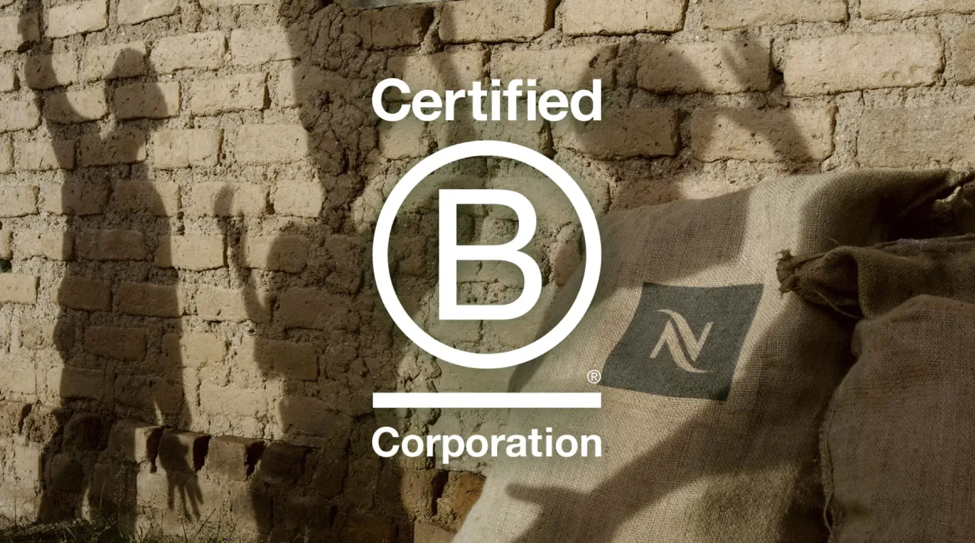 Adelie B Corp Introduction Image