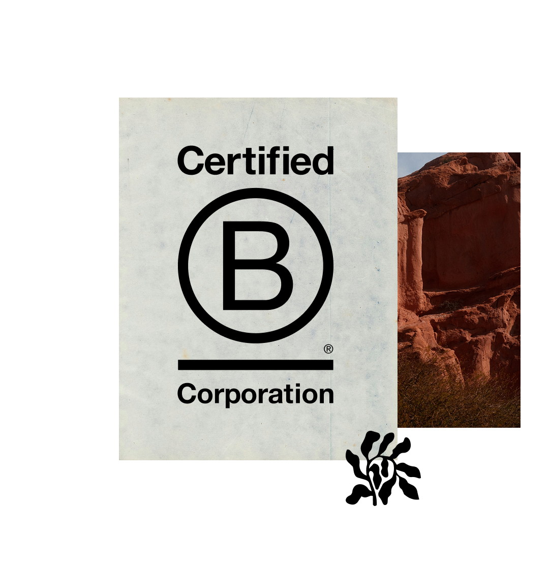 Adelie Services B Corp Header