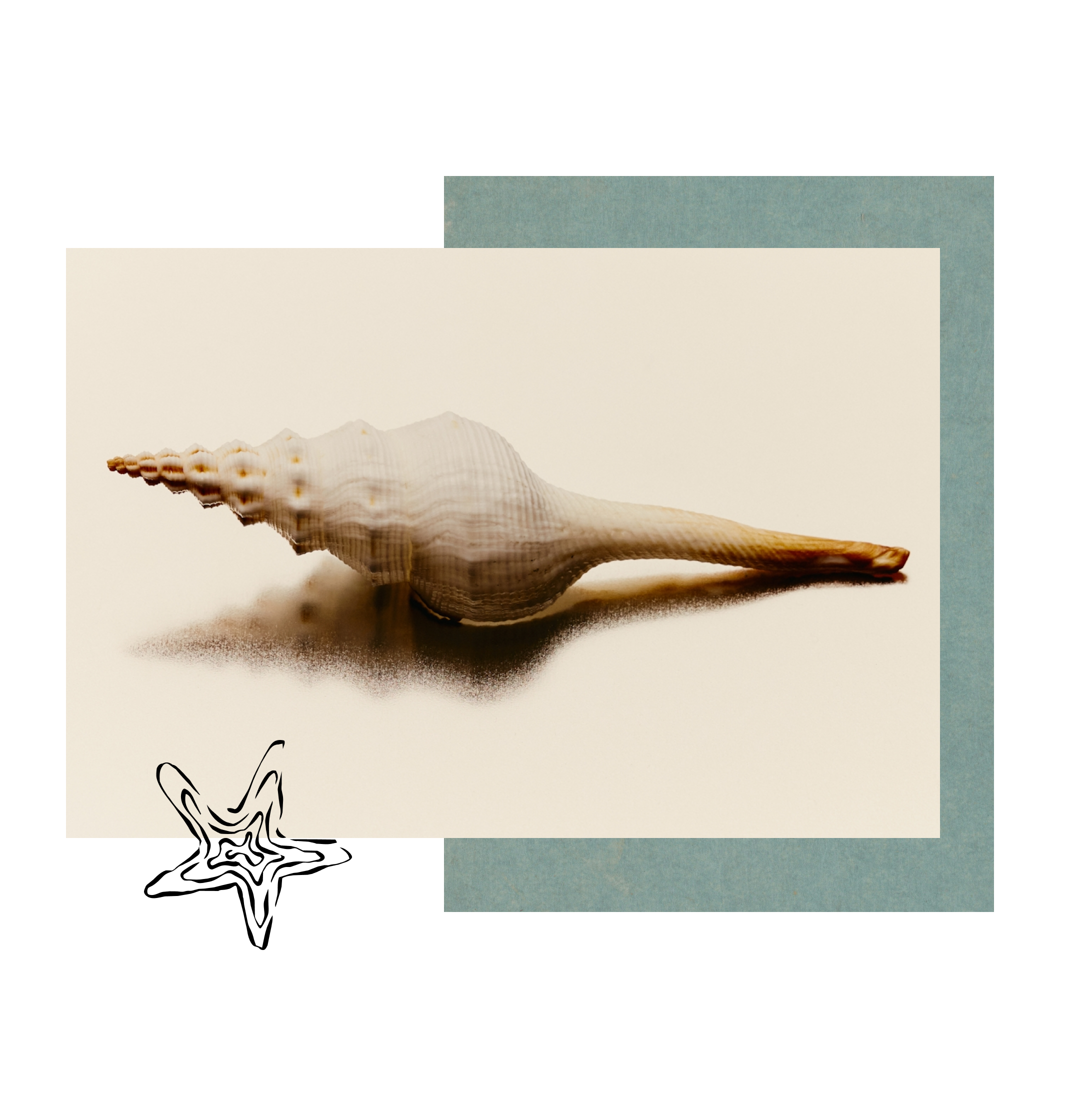 Adelie Services Climate and Net-Zero Header Image