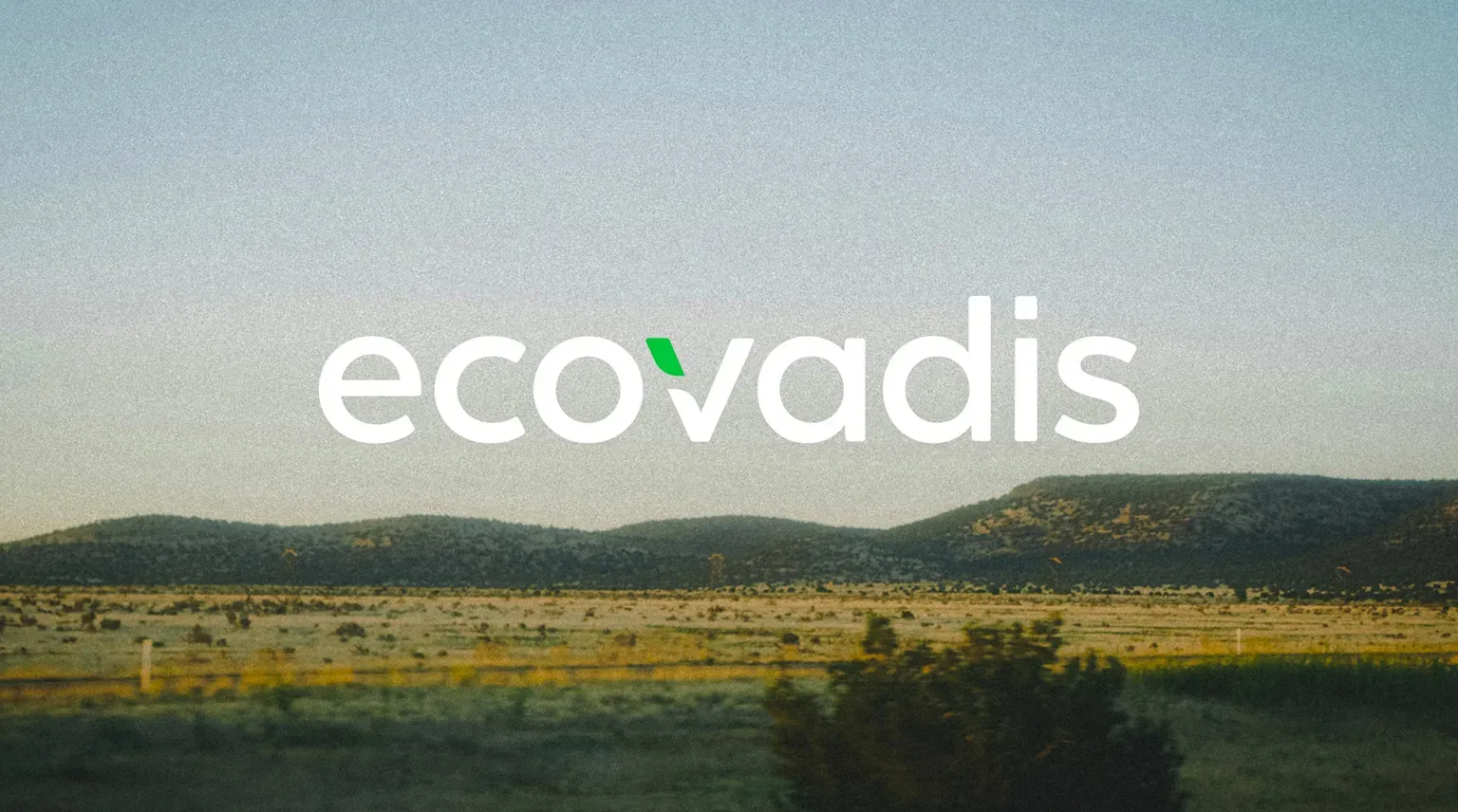 Adelie Services EcoVadis Introduction Image
