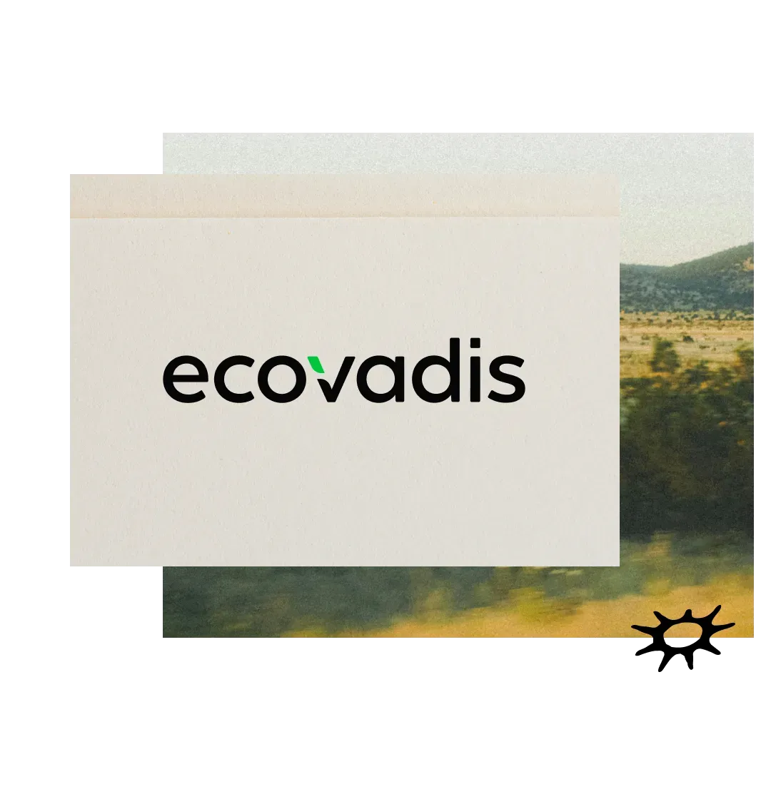 Adelie Services EcoVadis Header